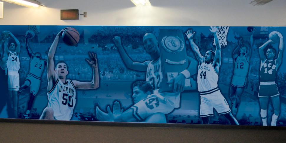 University of California Davis - Custom Wall Graphics